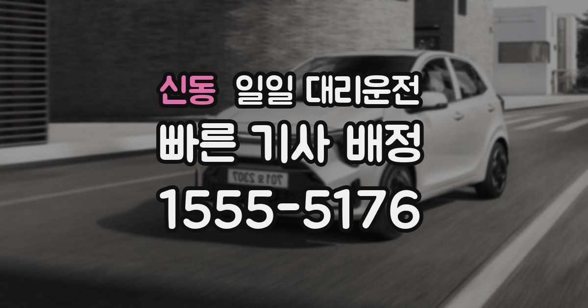 신동 일일 대리운전