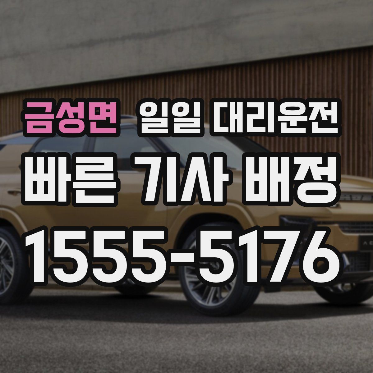 금성면 일일 대리운전