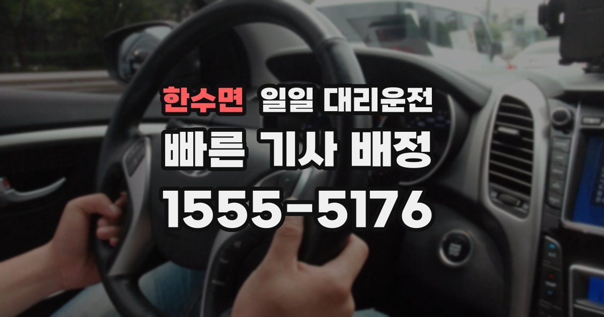 한수면 일일 대리운전