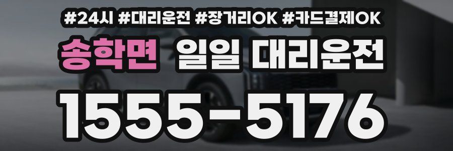송학면 일일 대리운전