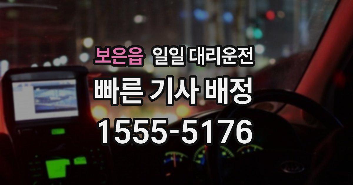 보은읍 일일 대리운전