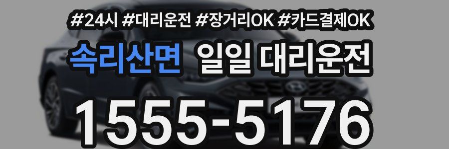 속리산면 일일 대리운전