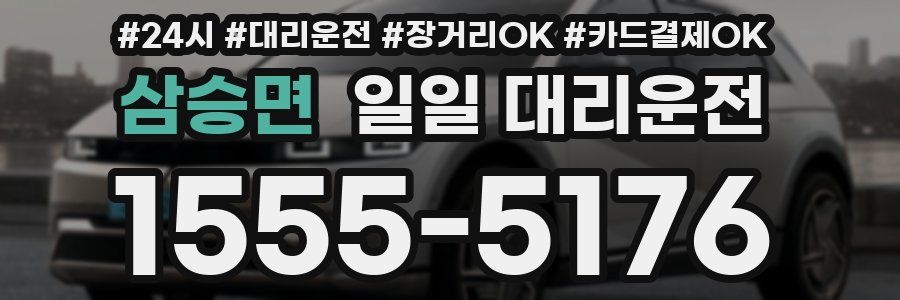 삼승면 일일 대리운전