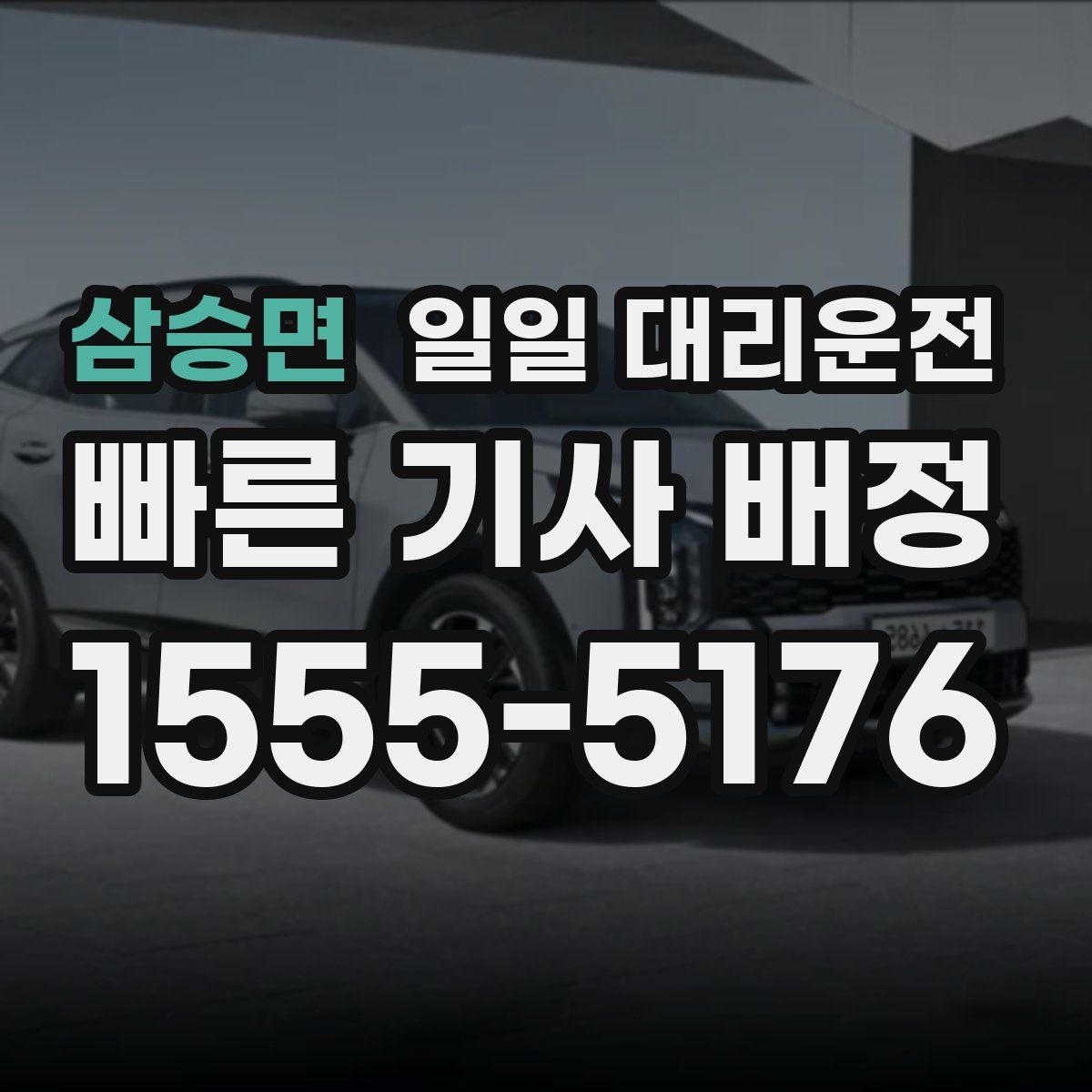 삼승면 일일 대리운전