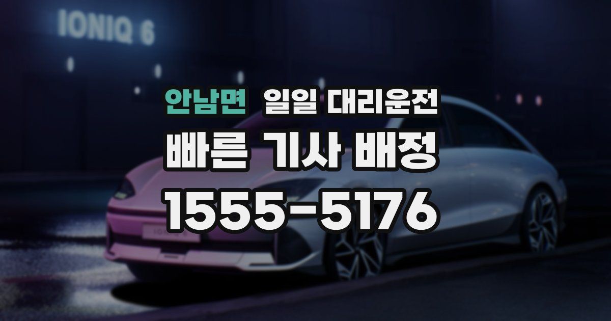 안남면 일일 대리운전
