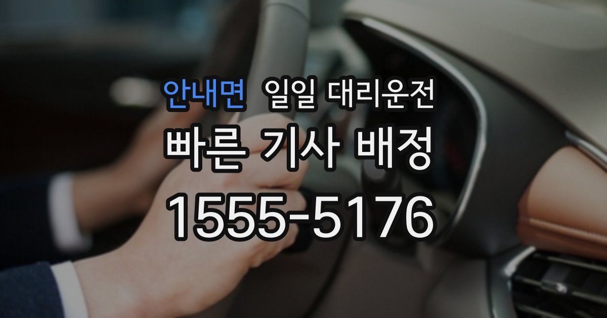 안내면 일일 대리운전