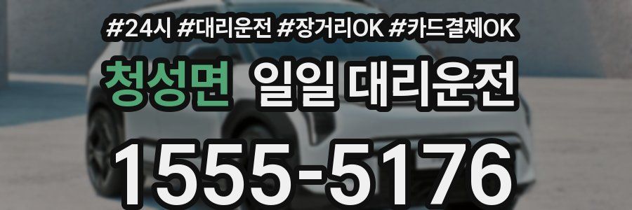 청성면 일일 대리운전
