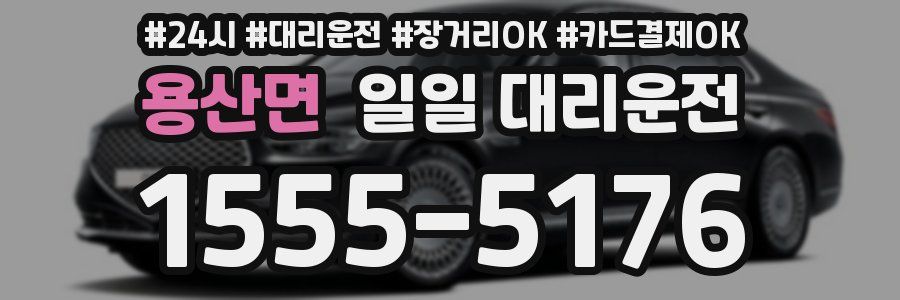 용산면 일일 대리운전