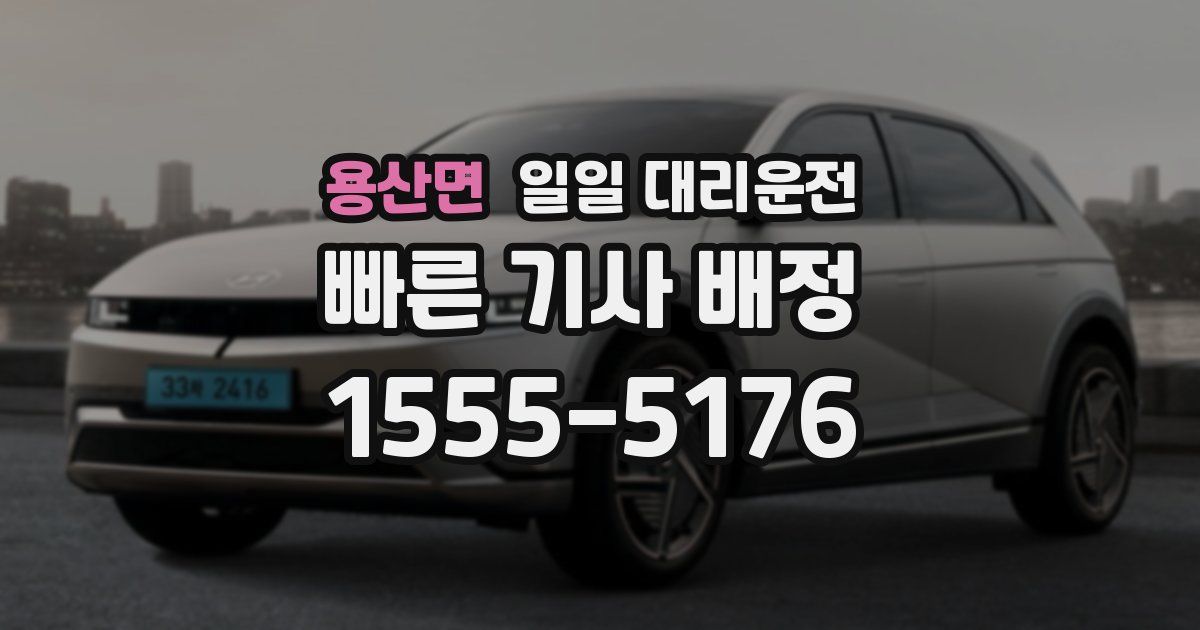 용산면 일일 대리운전