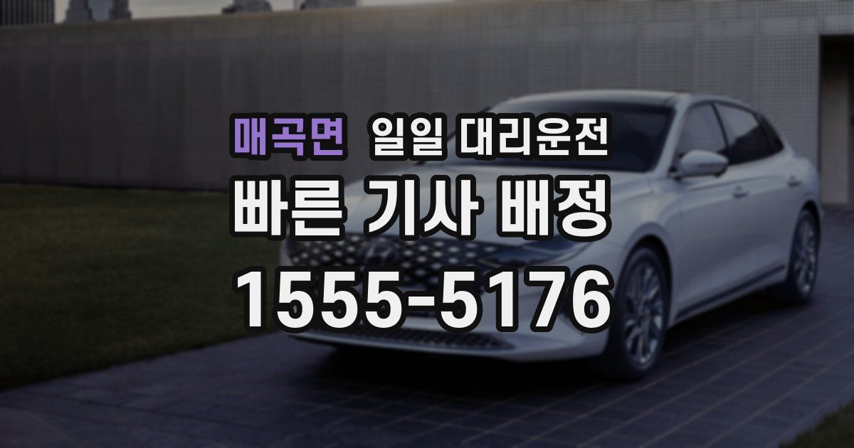 매곡면 일일 대리운전