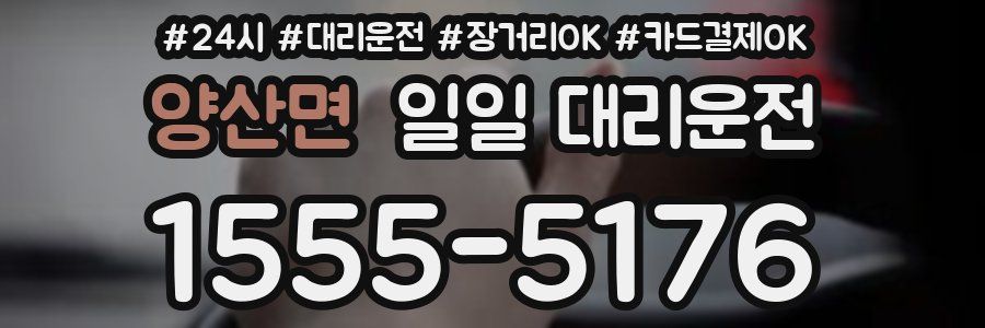 양산면 일일 대리운전