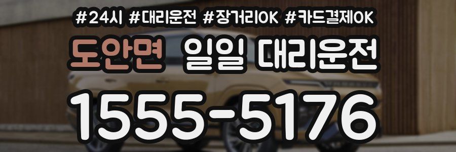 도안면 일일 대리운전