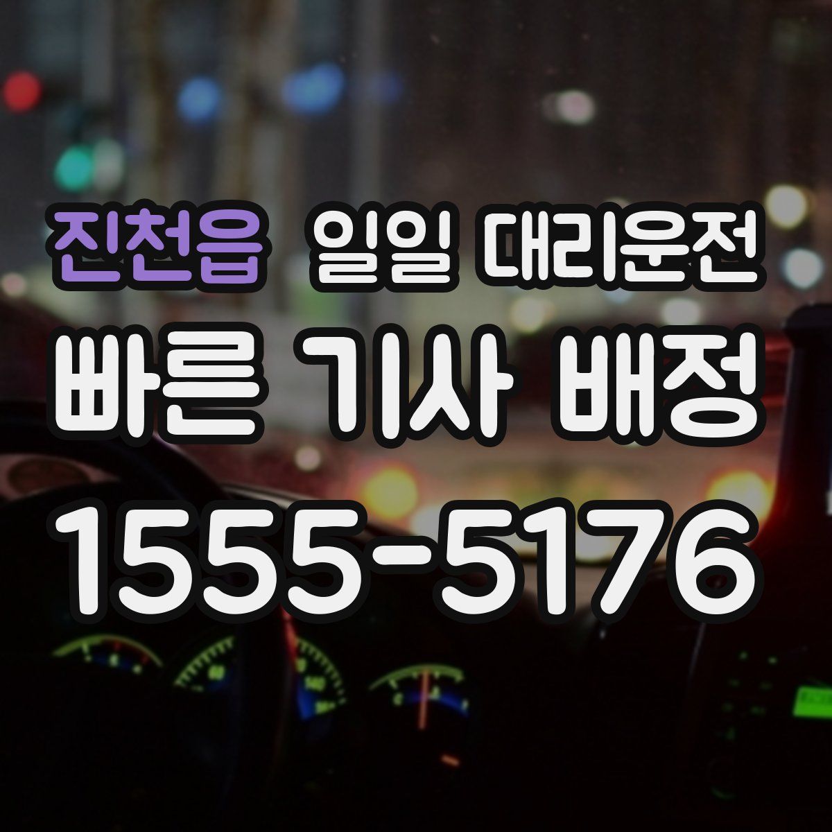 진천읍 일일 대리운전