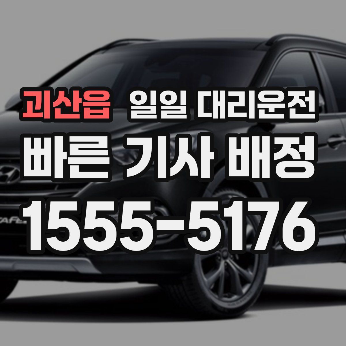 괴산읍 일일 대리운전