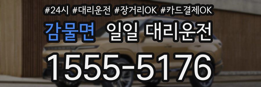 감물면 일일 대리운전