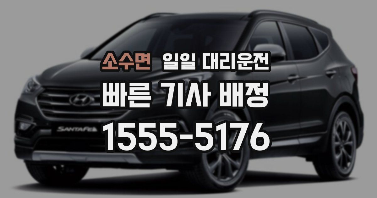 소수면 일일 대리운전