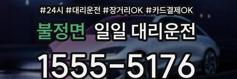 불정면 일일 대리운전