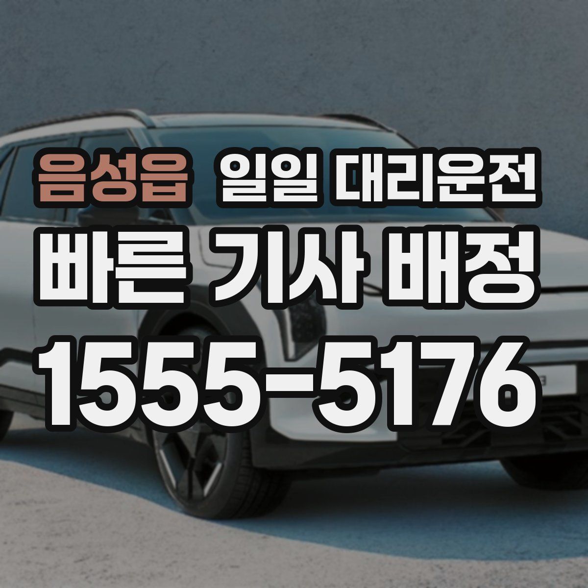 음성읍 일일 대리운전