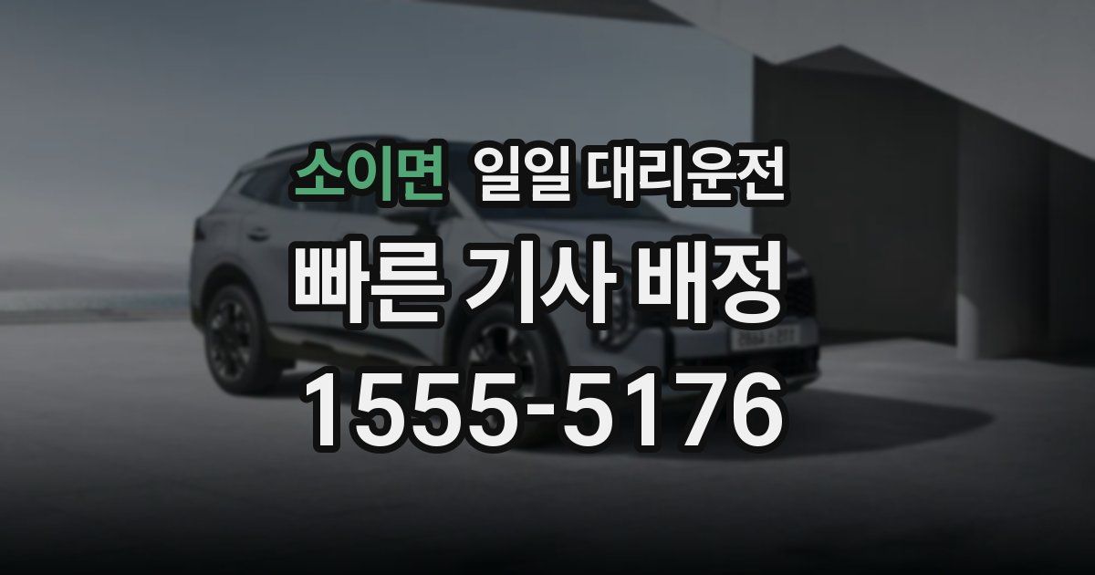 소이면 일일 대리운전