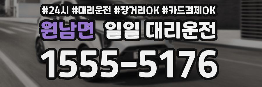 원남면 일일 대리운전