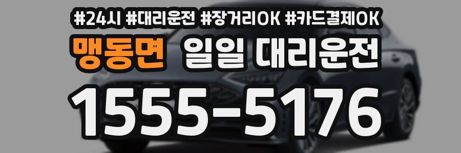 맹동면 일일 대리운전