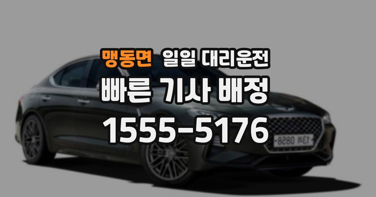 맹동면 일일 대리운전