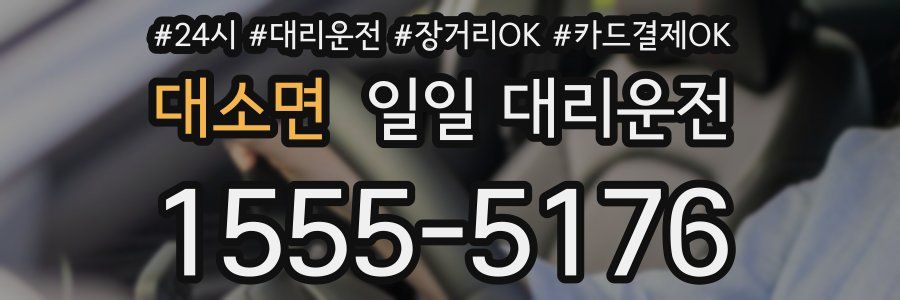 대소면 일일 대리운전