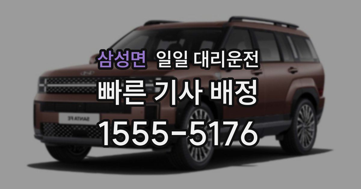 삼성면 일일 대리운전