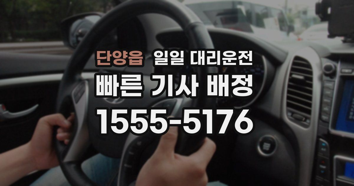 단양읍 일일 대리운전