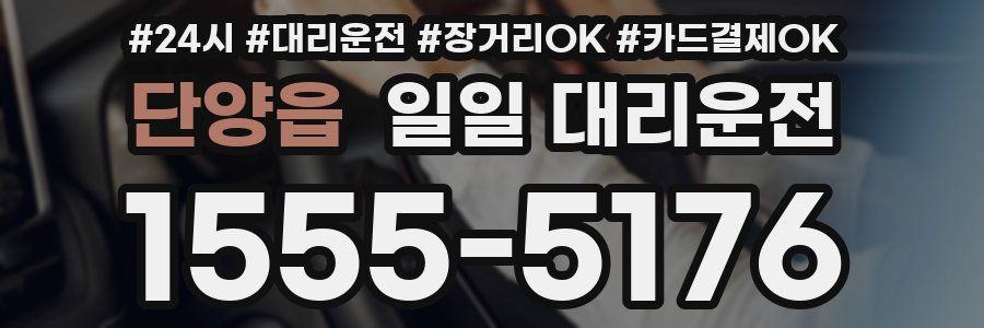 단양읍 일일 대리운전