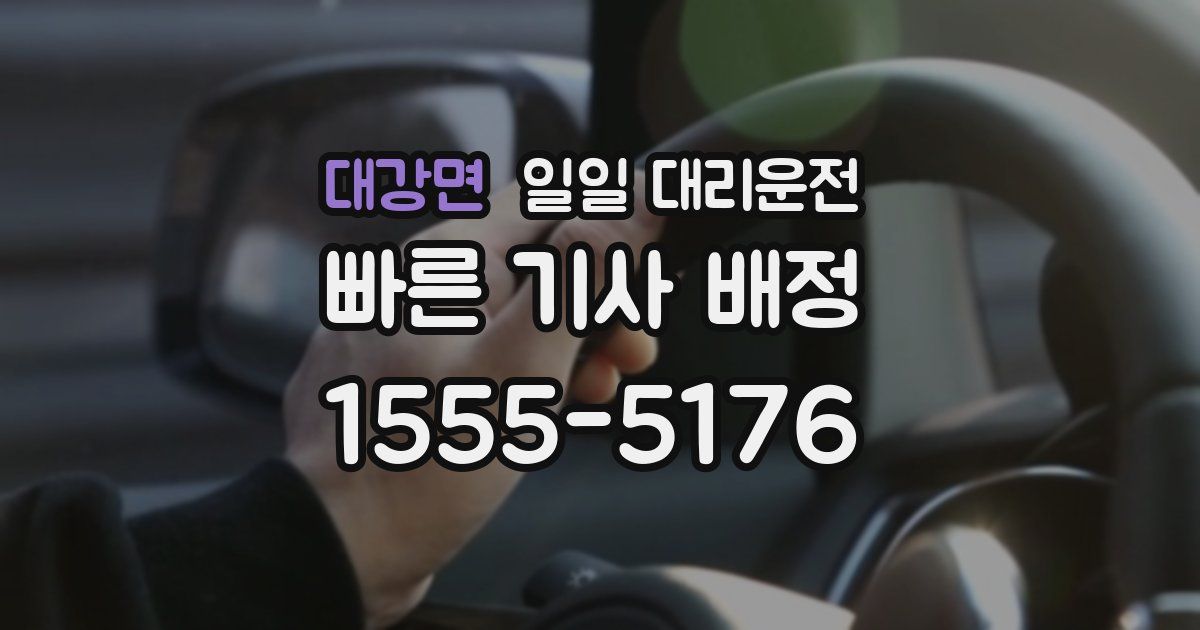 대강면 일일 대리운전