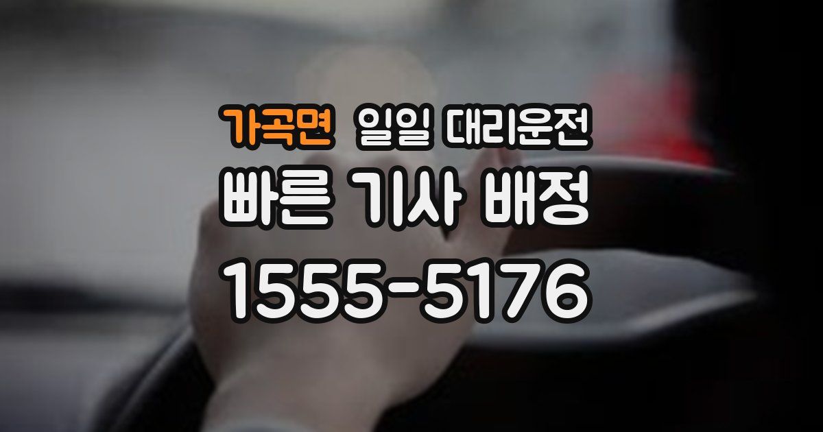 가곡면 일일 대리운전