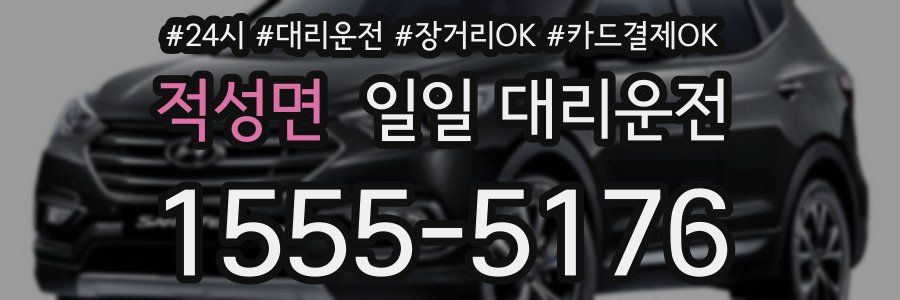 적성면 일일 대리운전
