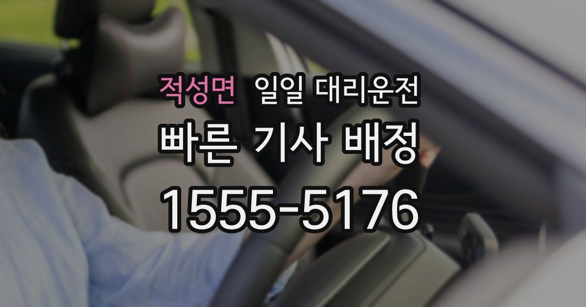 적성면 일일 대리운전
