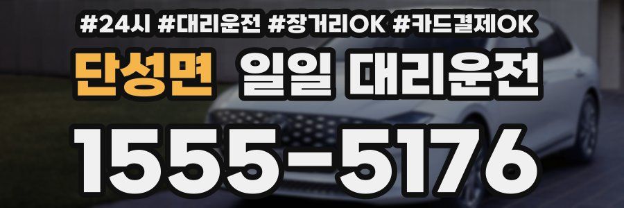 단성면 일일 대리운전