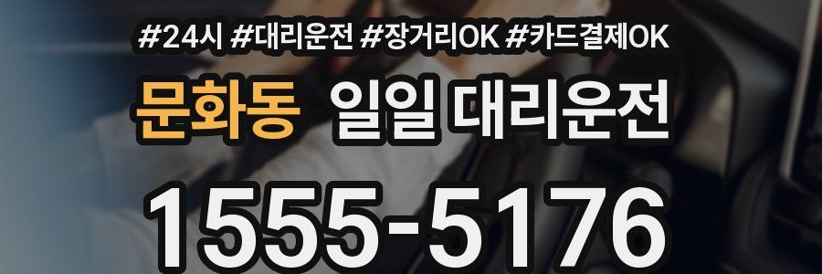 문화동 일일 대리운전
