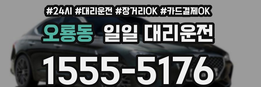 오룡동 일일 대리운전