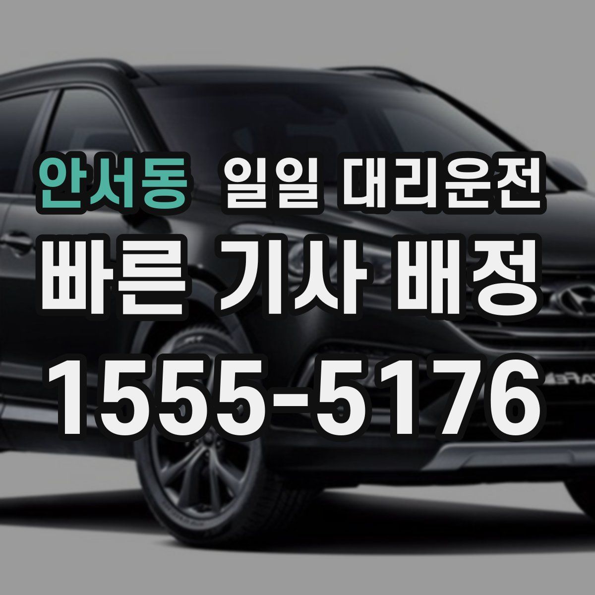 안서동 일일 대리운전