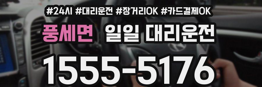 풍세면 일일 대리운전