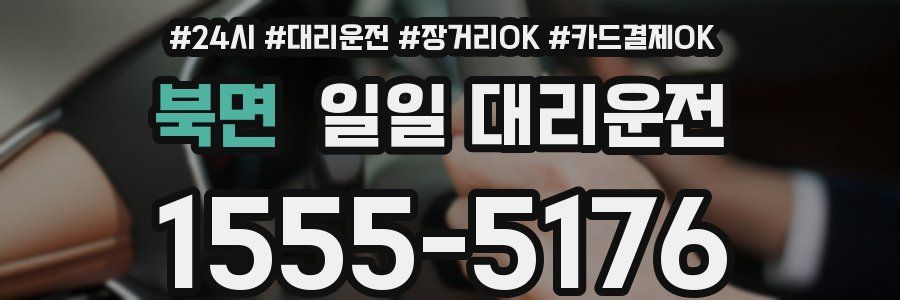 북면 일일 대리운전