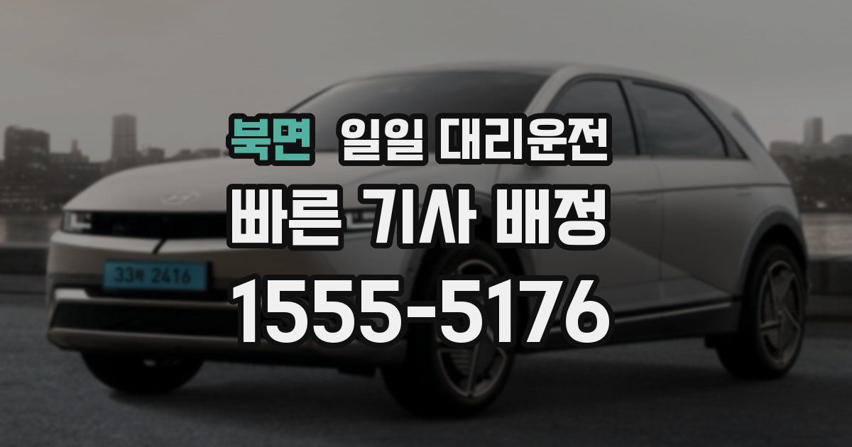 북면 일일 대리운전