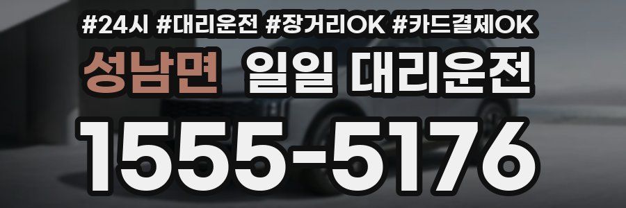 성남면 일일 대리운전
