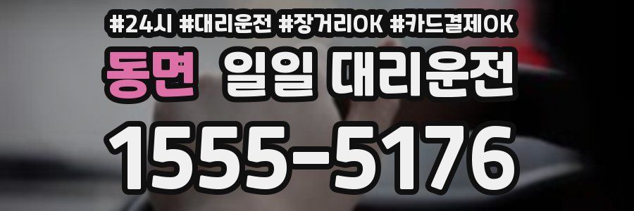 동면 일일 대리운전