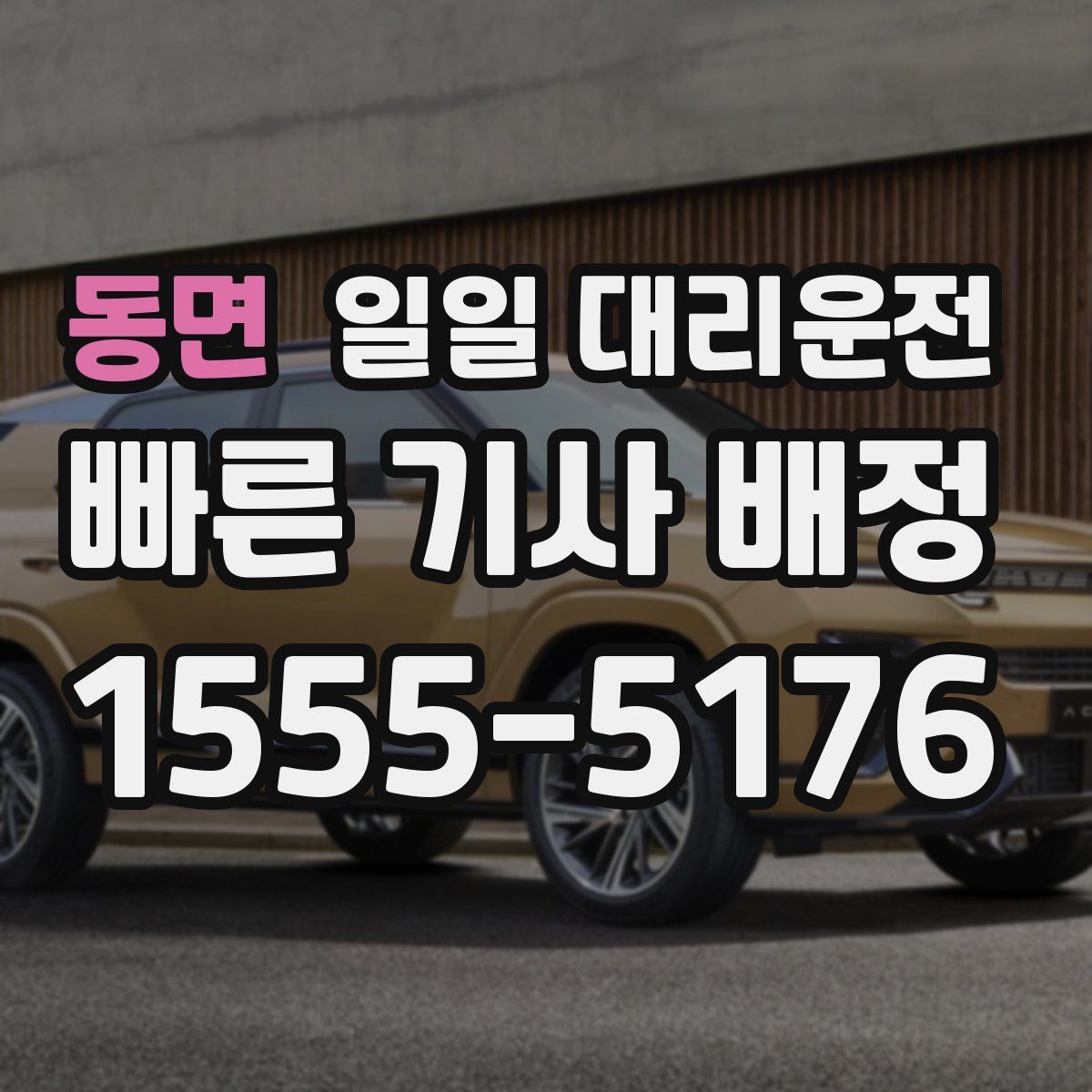 동면 일일 대리운전