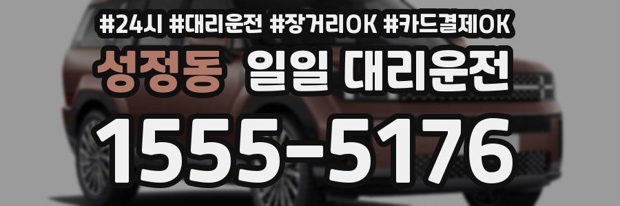 성정동 일일 대리운전