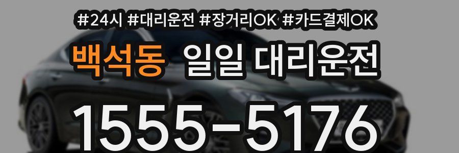 백석동 일일 대리운전