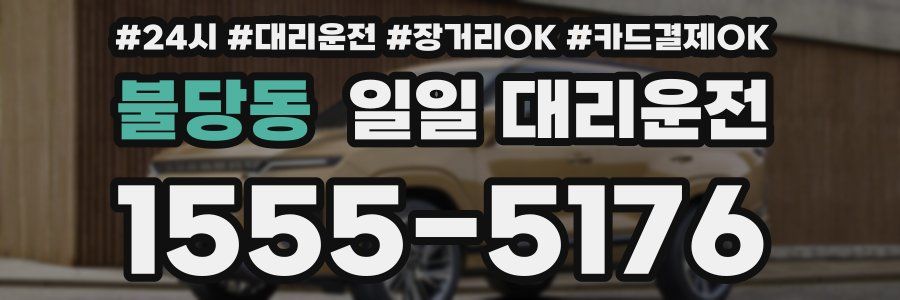 불당동 일일 대리운전