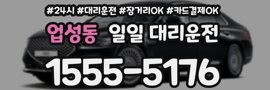 업성동 일일 대리운전