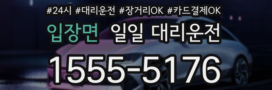 입장면 일일 대리운전