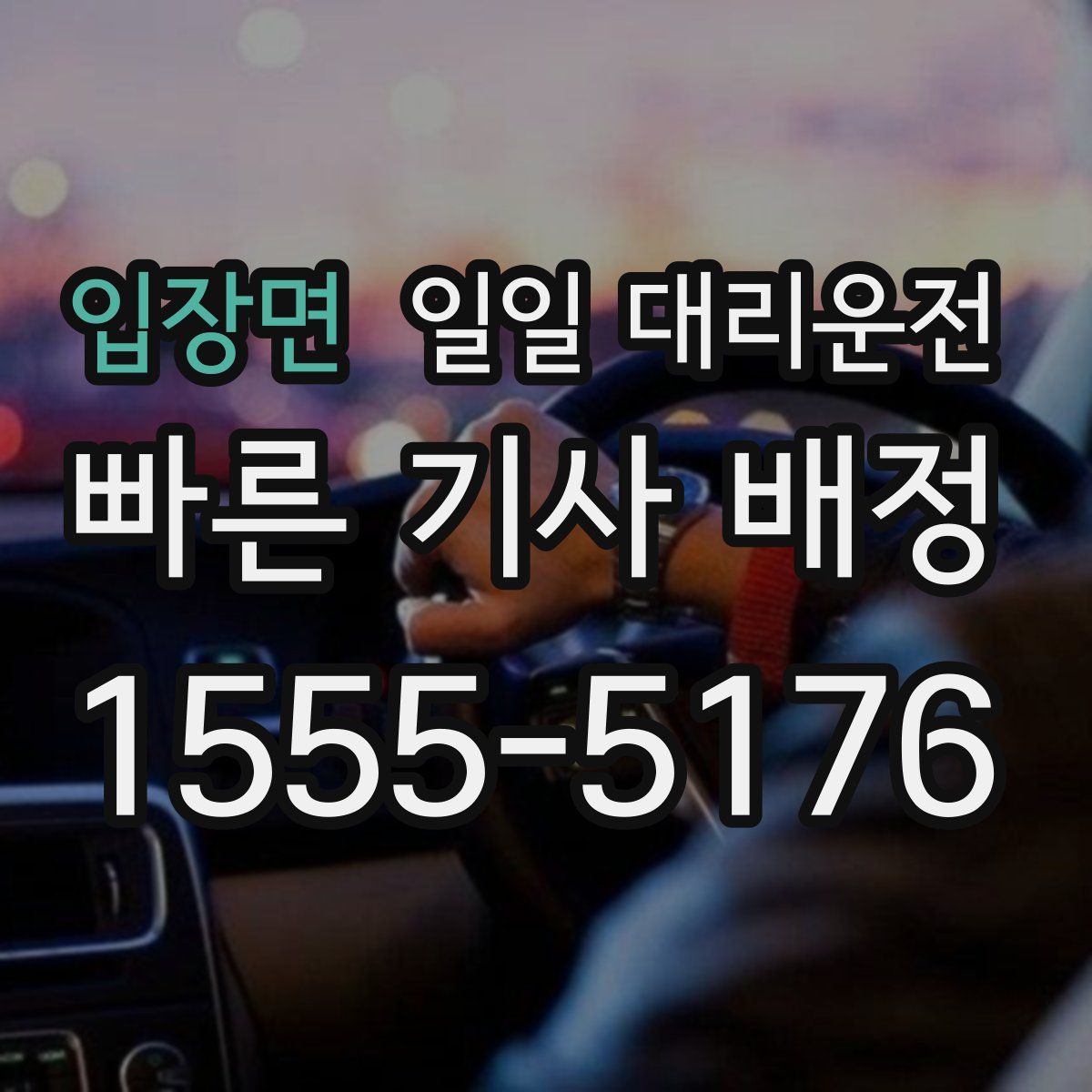 입장면 일일 대리운전